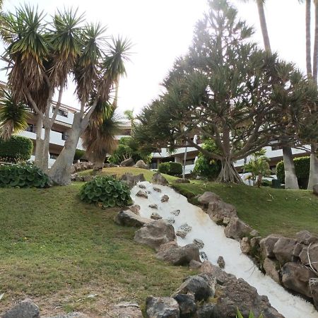圣米格尔德阿沃纳Estudio En Tenerife Con Piscina / Study Flat With Pool公寓 外观 照片