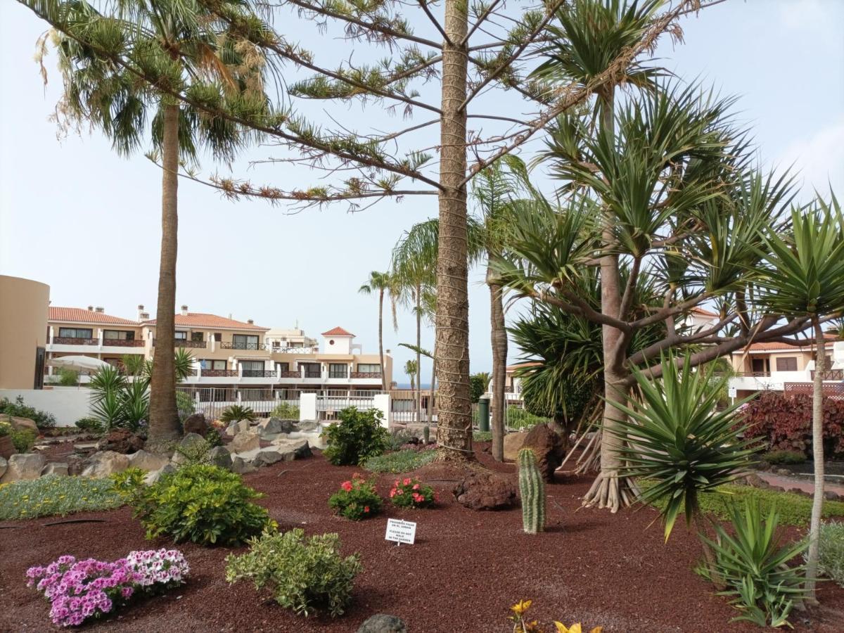 圣米格尔德阿沃纳Estudio En Tenerife Con Piscina / Study Flat With Pool公寓 外观 照片